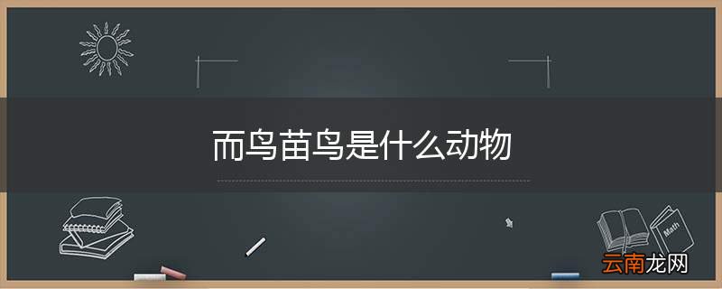 而鸟苗鸟是什么动物