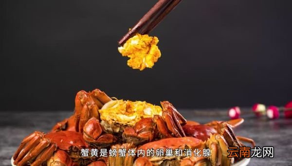 蟹黄是什么 蟹黄是什么东西