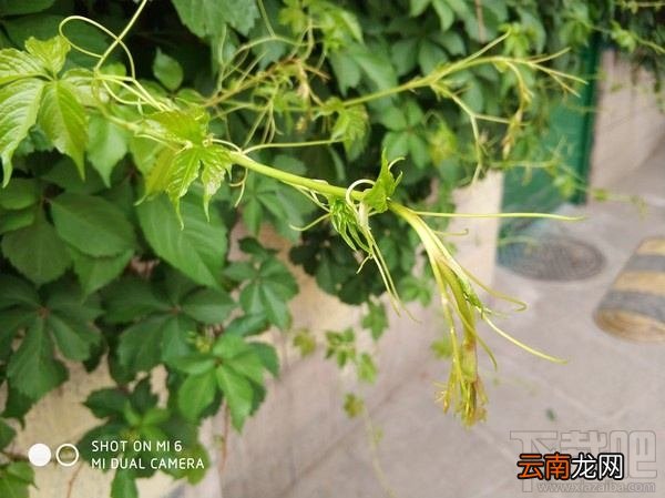 小米6尊享版配置怎么样？小米6尊享版优缺点介绍