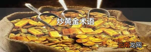 炒黄金术语