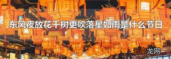 东风夜放花千树更吹落星如雨是什么节日