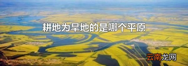 耕地为旱地的是哪个平原