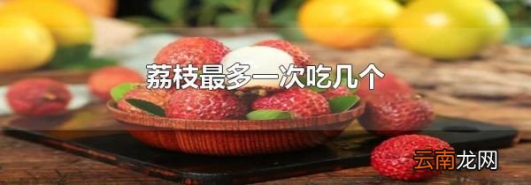 荔枝最多一次吃几个