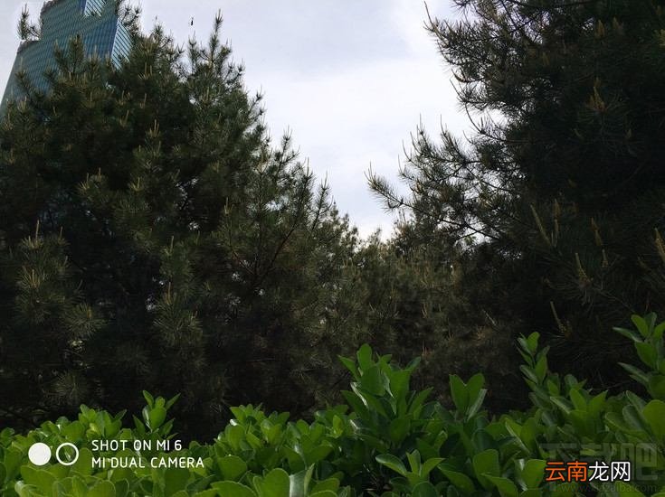 小米6拍照怎么样？小米6拍照体验