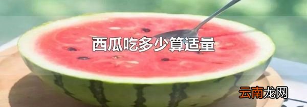 西瓜吃多少算适量