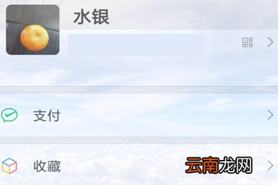 熊猫动态壁纸设置微信主题的操作过程