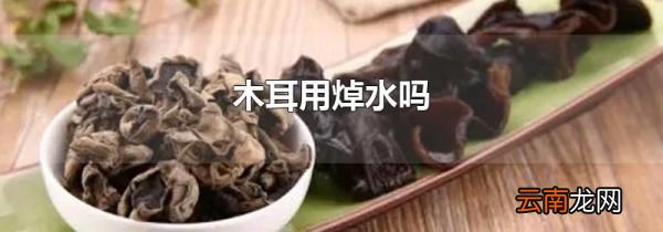 木耳用焯水吗
