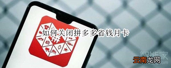 如何关闭拼多多省钱月卡