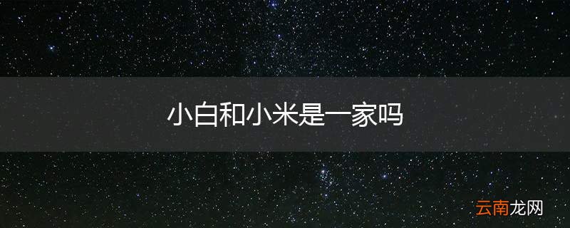 小白和小米是一家吗