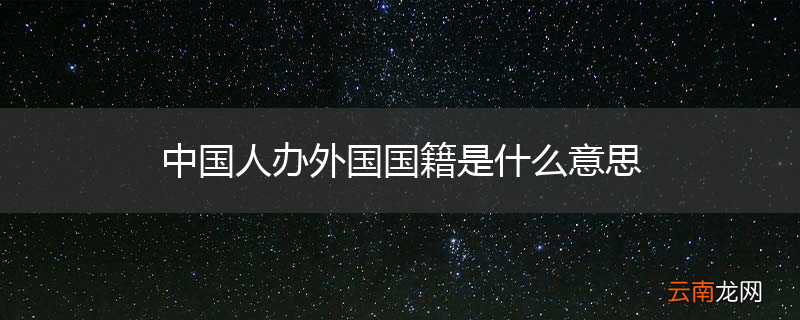 中国人办外国国籍是什么意思