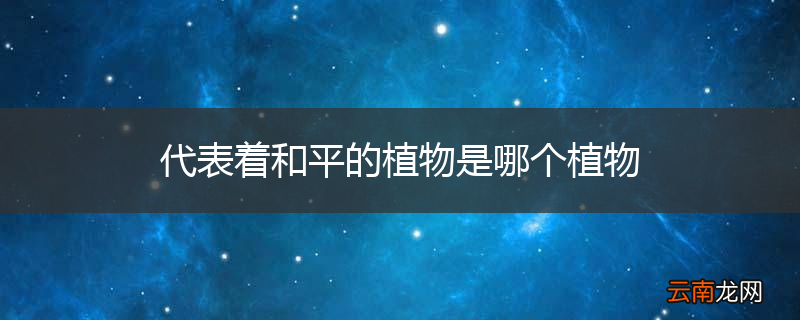 代表着和平的植物是哪个植物