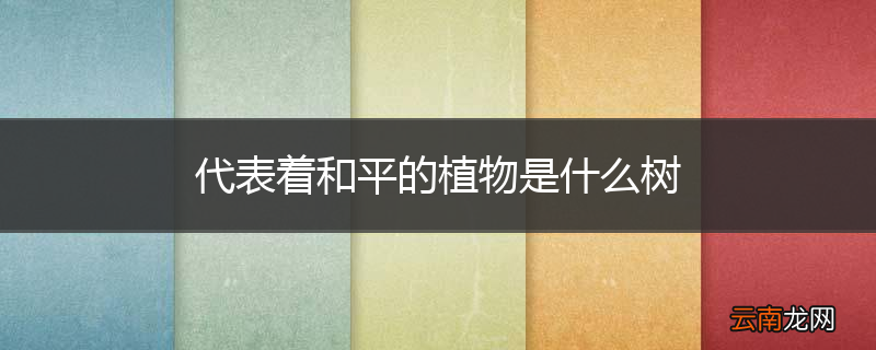 代表着和平的植物是什么树