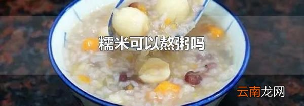 糯米可以熬粥吗
