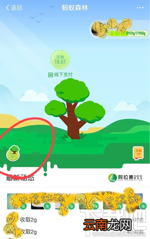支付宝蚂蚁森林在哪查看蚂蚁地图?