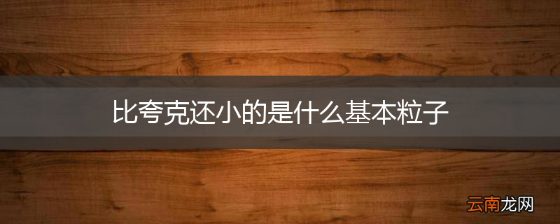 比夸克还小的是什么基本粒子