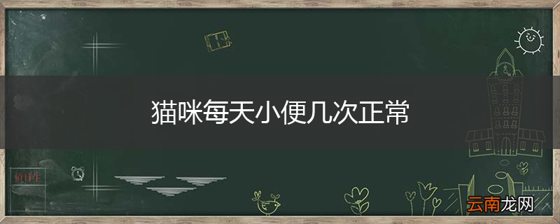 猫咪每天小便几次正常