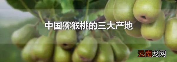 中国猕猴桃的三大产地