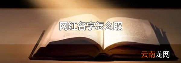 网红名字怎么取