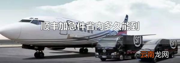 顺丰加急件省内多久能到