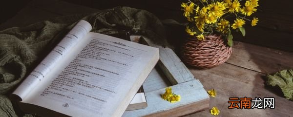 昆虫记讲的是什么 昆虫记内容简介
