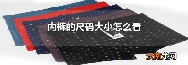 内裤的尺码大小怎么看
