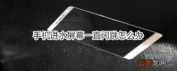 手机进水屏幕一直闪跳怎么办