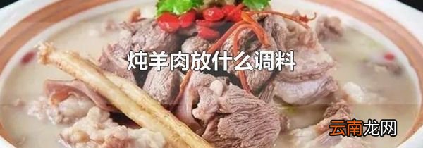 炖羊肉放什么调料