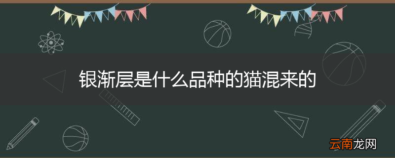 银渐层是什么品种的猫混来的