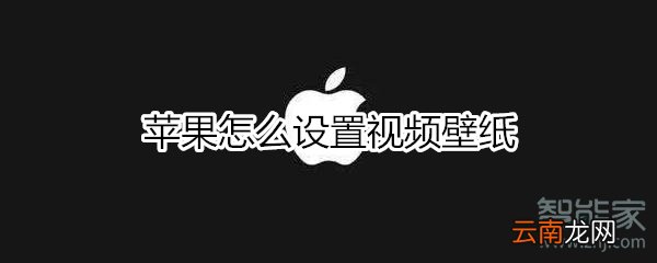 苹果怎么设置视频壁纸