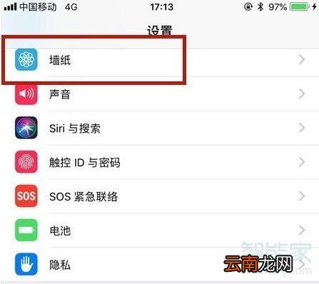 苹果怎么设置视频壁纸