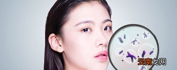 螨虫的克星是什么 家庭如何去除螨虫