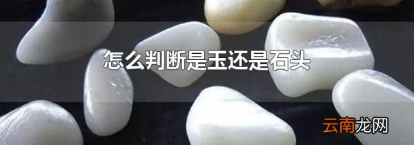 怎么判断是玉还是石头