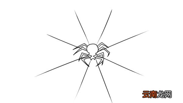 蜘蛛网简笔画