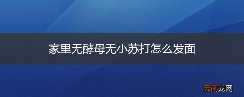 家里无酵母无小苏打怎么发面