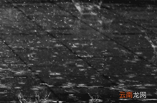 2023年谷雨是哪一天几点几分 2023年谷雨具体时间