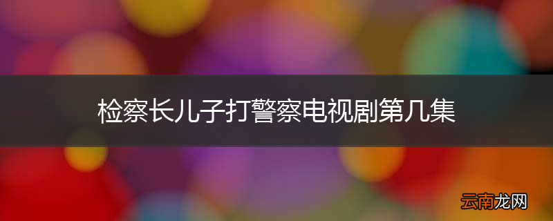 检察长儿子打警察电视剧第几集