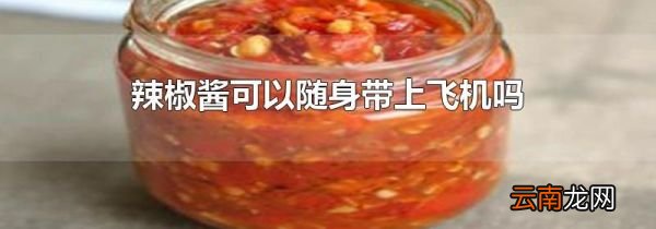 辣椒酱可以随身带上飞机吗