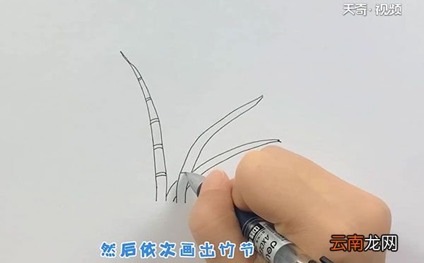 竹子的简笔画