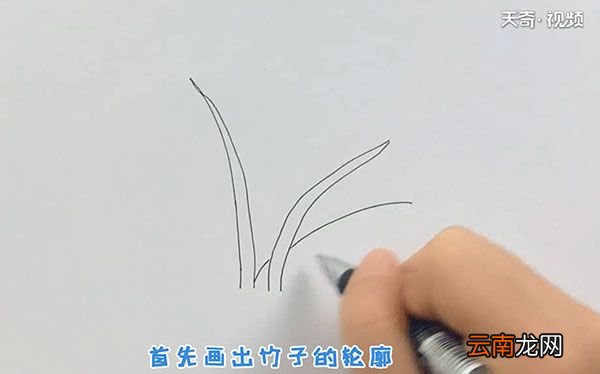 竹子的简笔画