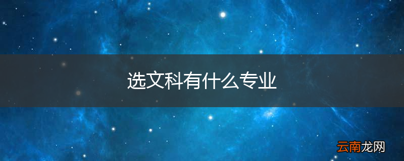 选文科有什么专业