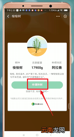 支付宝蚂蚁森林获得环保证书的简单操作