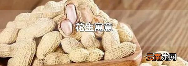 花生寓意