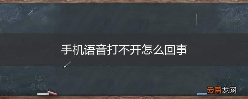 手机语音打不开怎么回事