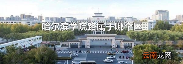 哈尔滨学院路属于哪个区