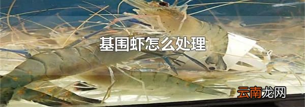 基围虾怎么处理