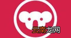 网易考拉APP邀请好友的图文操作