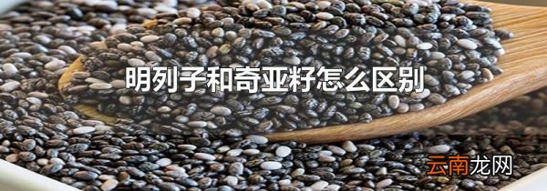 明列子和奇亚籽怎么区别