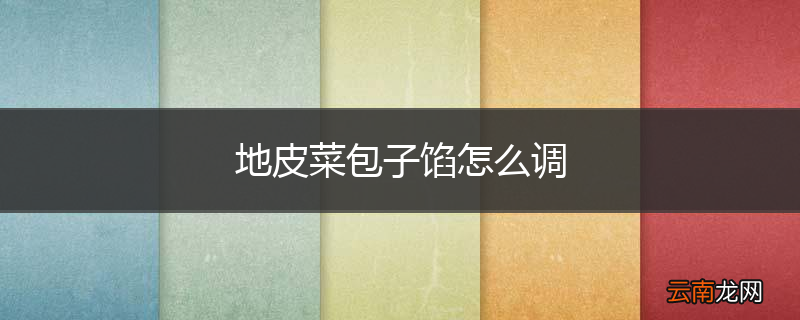 地皮菜包子馅怎么调