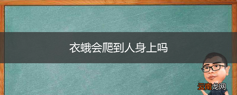 衣蛾会爬到人身上吗