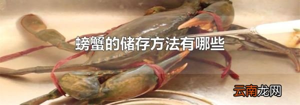 螃蟹的储存方法有哪些